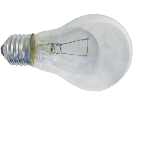 Elit Vagonska sijalica A60 24V 100W E27 Cene