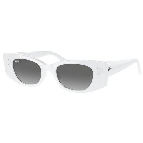 Ray-ban Kat Naočare za sunce RB 4427 675911 Slike