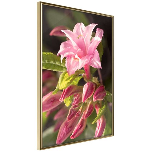  Poster - Garden&amp;#039;s Centerpiece 30x45 Slike
