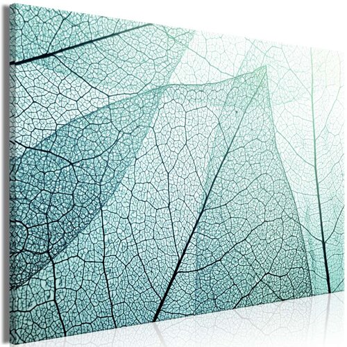  Slika - Macroflora (1 Part) Wide 60x40 Slike