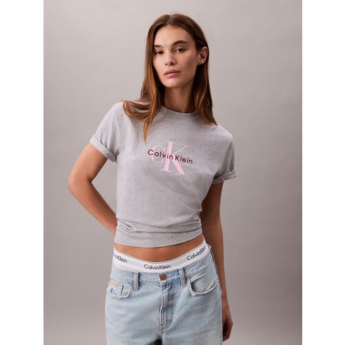 Calvin Klein Jeans Majica 'CLSSC' svijetlosiva / roza / bordo Cijene