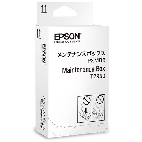 Epson Patrona C13T295000 Cene