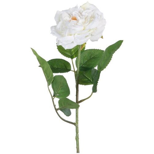Ixia Umetna rastlina (višina 43 cm) Rose – Cene