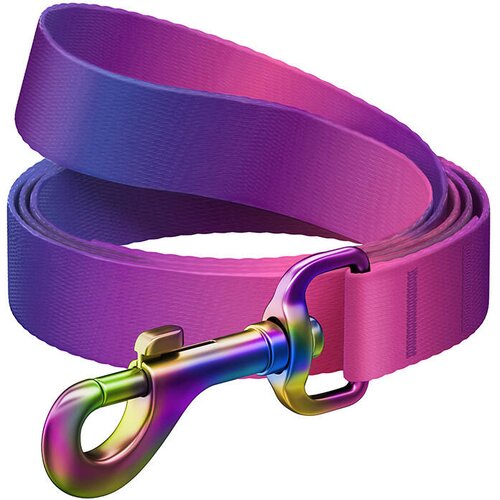 Wau dog GRADIENT NAJLONSKI PASJI POVODEC, &Scaron;IRINA 20 MM, DOLŽINA 122 CM, VIJOLIČEN, (5000291308) Cene