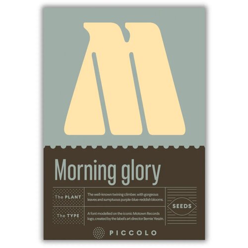  M - Morning glory - škrlatni lepi slak - 1 pkt. Cene