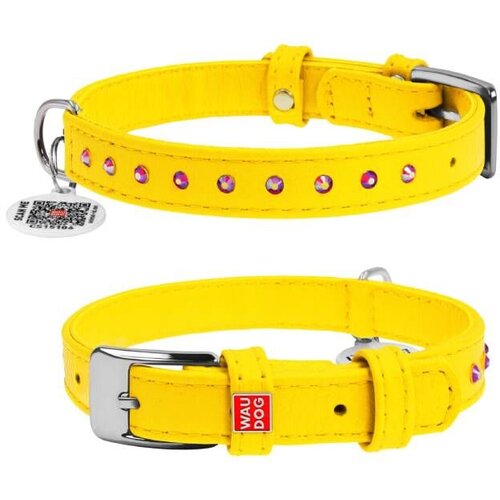 CLR WD 36 cm, Žuta A2202526-Ogrlica za pse 15 mm/27 Cene
