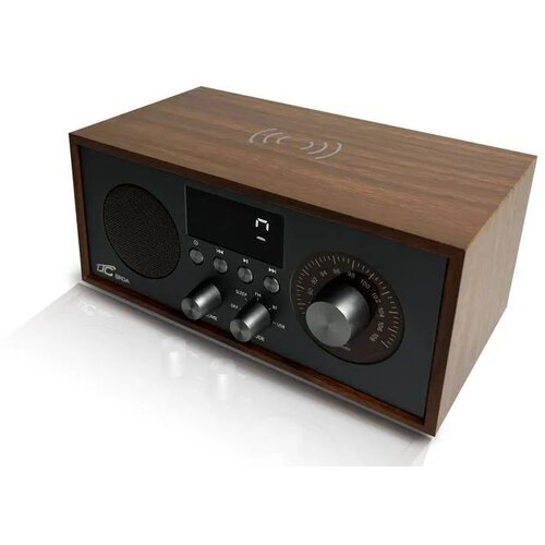 Ltc Radio analogni Brda 511BC, FM, BT, USB, 10W, 2200mAh, (5000076798) Cene