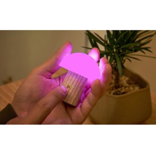 Gingko led stolna lampa od čvrste jeseni s mogućnosti zatamnjivanja u prirodnoj boji (visina 7 cm) alice &amp;ndash; Slike