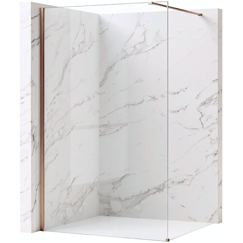 Rea Stena za prhanje Flexi Transparent / Brush Copper 110 Cene
