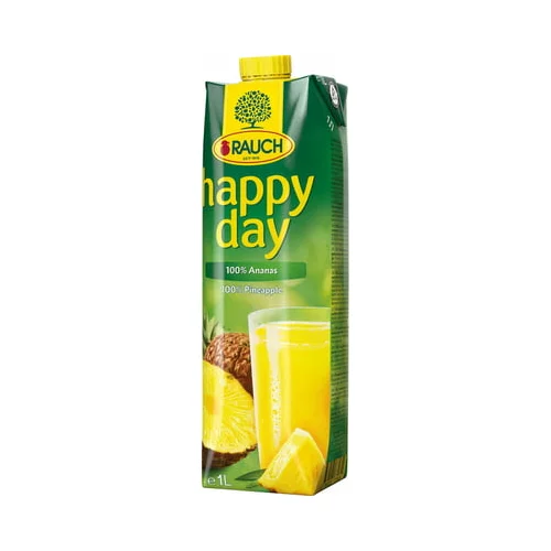 Rauch Happy Day 100% Ananas