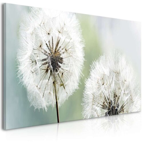  Slika - Fluffy Dandelions (1 Part) Green Wide 100x45 Slike