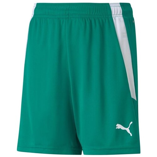 Puma Teamliga Zelena Cijene