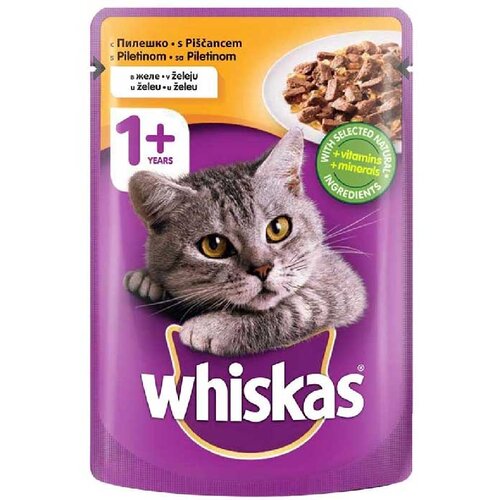whiscas purina hrana za odrasle mačke whiskas, piletina u želeu, 100g Cene