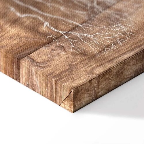  Slika - Tree Story 225x112.5 Cene