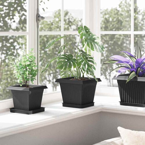  Saksije za biljke 6 pcs Crna 20 x 20 x 16 cm Plastika Slike