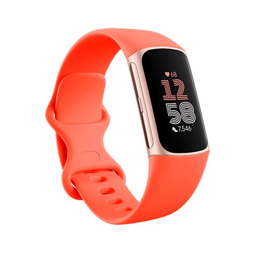 Fitbit Charge 6 AMOLED Wristband activity tracker Coral, Gold Slike