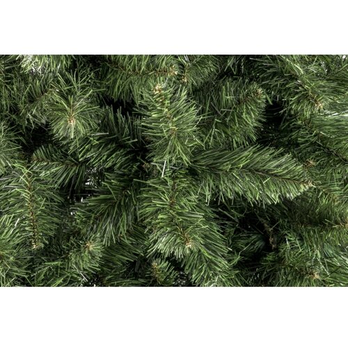  Božićna jelka POLA 220 cm bor Slike