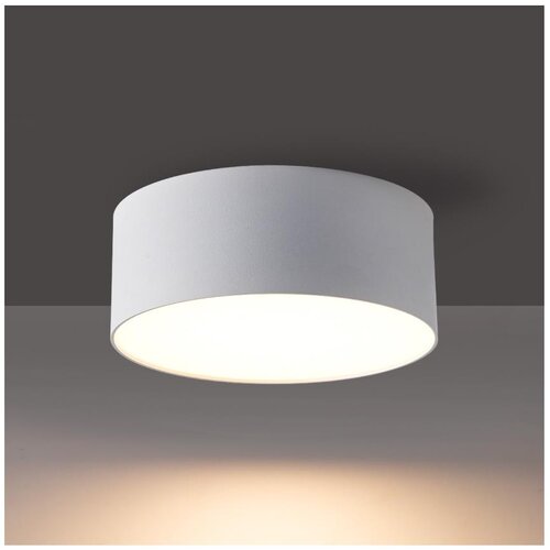  Brilagi - LED plafonsko svetlo za kupatilo FORIS LED/14W/230V, prečnik 12 cm, belo, IP44 Cene