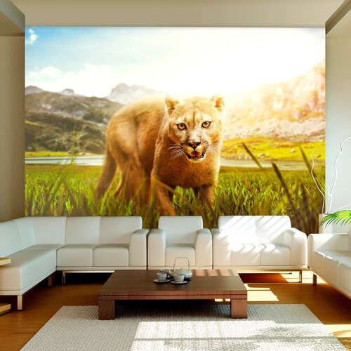  Tapeta - Watch out! 200x140 Cijene