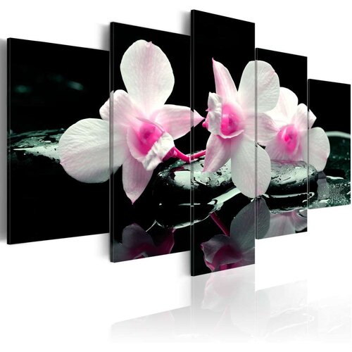  Slika - Rest of orchids 200x100 Slike