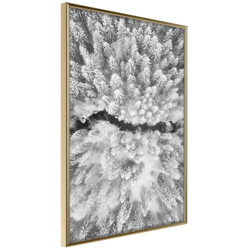  Poster - Frost Land 20x30 Cene