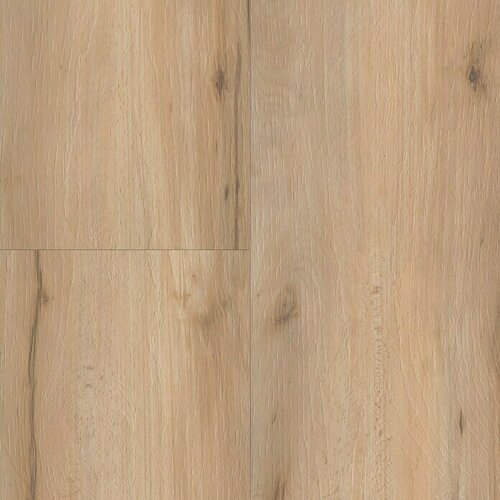B!DESIGN Uzorak Clic Woodlands (280 x 160 x 3 mm, Rustikalni pod) Cijene
