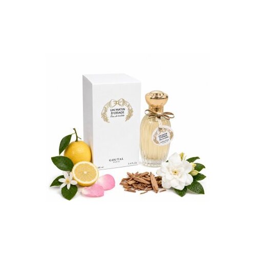 Annick Goutal Un Matin D&amp;#039;Orage toaletna voda za žene 100 ml Slike