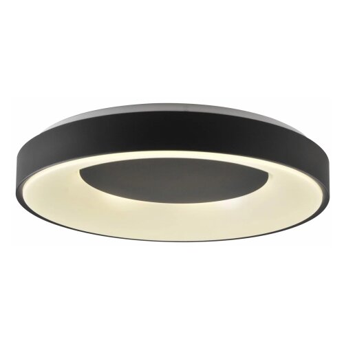  LED plafonsko svetlo WITOLD, prigu&amp;scaron;iva, 48W/230V, 3000-6000K + daljinski upravljač Slike