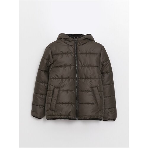 LC Waikiki Basic Boys' Down Jacket with a Hooded Cene