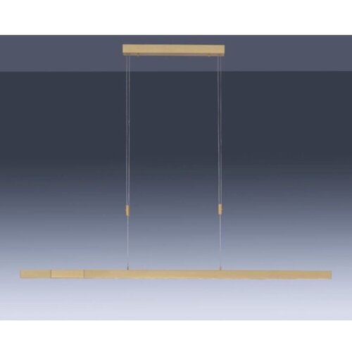 PAUL NEUHAUS 2568-60 - led prigu&amp;scaron;iva luster na sajli adriana LED/14W/230V mesing Slike