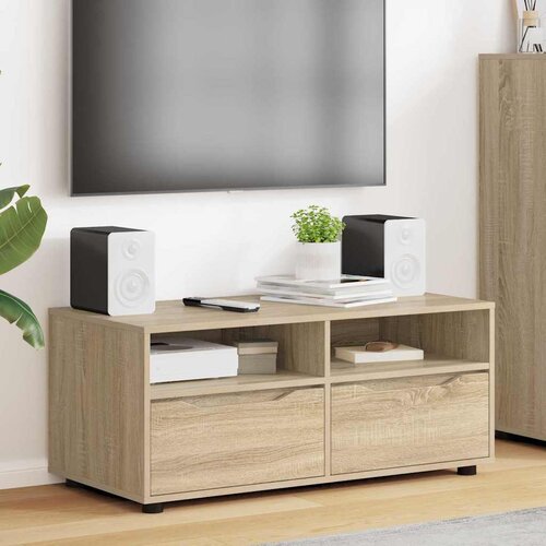 TV ormar Sonoma hrast 100 x 48 x 43 cm Konstruirano drvo Cene