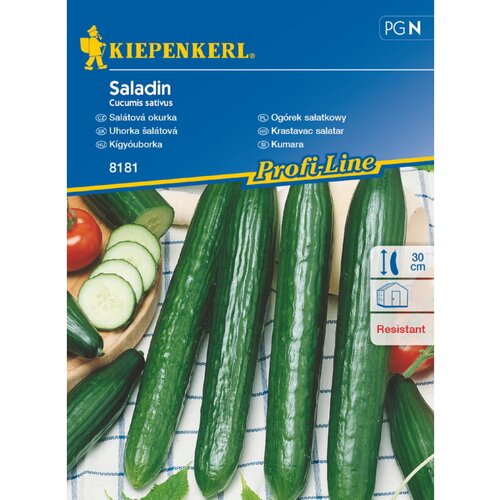 KIEPENKERL Sjeme povrća krastavac Saladin (Cucumis sativus, Berba: Lipanj - Listopad) Cijene