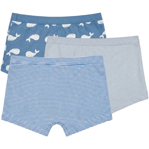 Petit Bateau Boksarice BOXERS X 3 Modra Slike