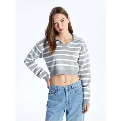 LC Waikiki Women's Polo Neck Striped Long Sleeve Crop Knitwear Sweater