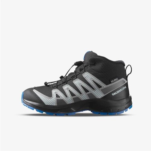 Salomon Xa pro v8 mid wp j black/mo Cene