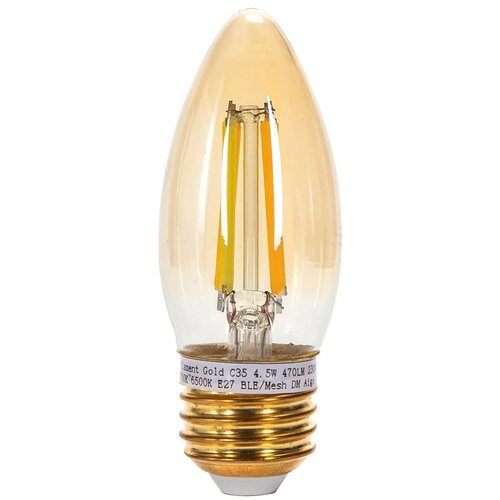 Aigostar led sijalica filament C35 E27/4,5W/230V 2700-6500K Cene