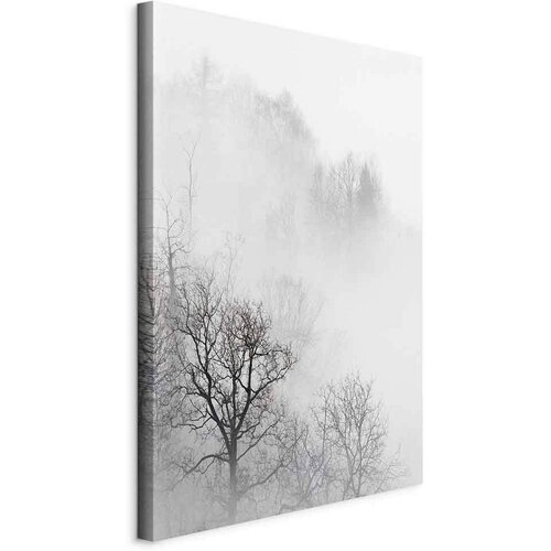 Artgeist Slika Na Platnu Trees In The Fog Cene