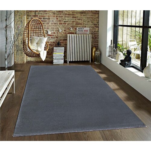 Conceptum Hypnose tepih soft plush dark grey 120 x 180 (202BLY1214) Cene