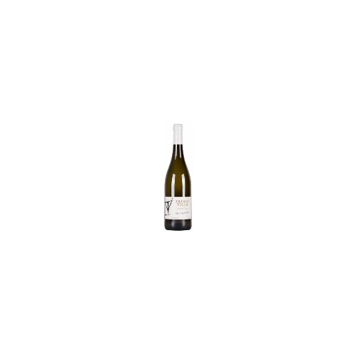 Prokupac trubs villa chardonnay belo vino 750ml staklo Slike