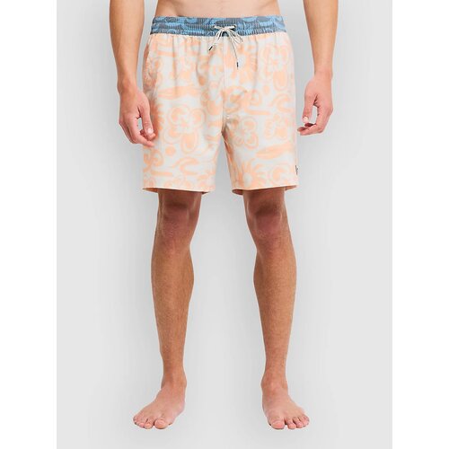 Billabong Ty Williams Boardshorts multi Cene