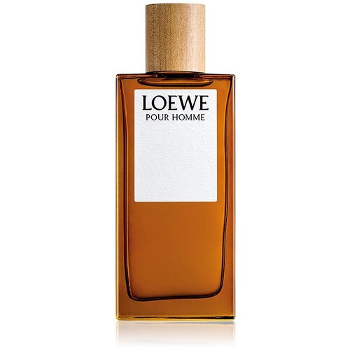 Loewe Pour Homme toaletna voda za moške 100 ml Cene