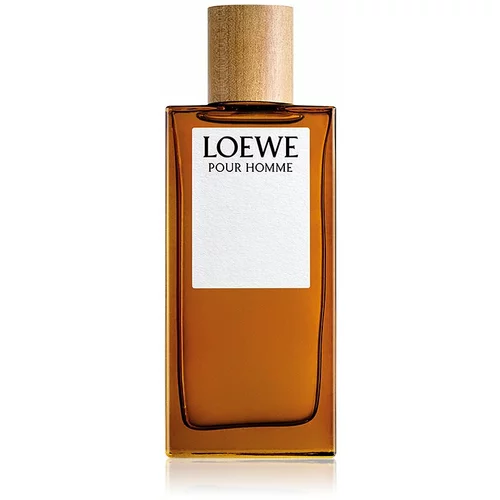 Loewe Pour Homme toaletna voda za moške 100 ml