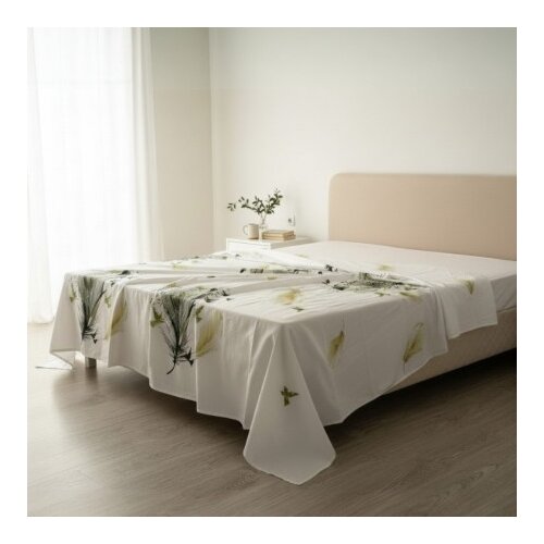  Čar&scaron;av Ranforce 100% pamuk 160x240cm bez lasti&scaron;a Pero ( VLK000536-Pero ) Cene
