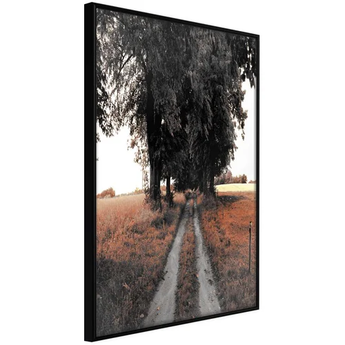  Poster - Field Path 30x45