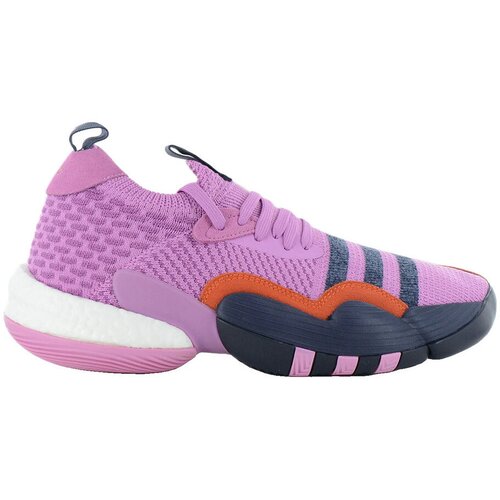 Adidas Ko&scaron;arka Baskets trae young 2.0 laceless Vijolična Cene