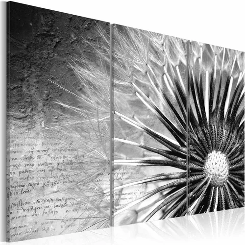  Slika - dandelion (black and white) 90x60
