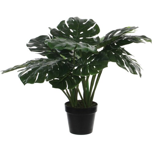 MICA Umjetna biljka Monstera (Visina: 60 cm, Zelene boje, Plastika) Slike