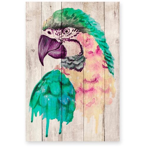 Madre Selva zidna dekoracija od borovog Watercolor Parrot, 60 x 40 cm Cijene