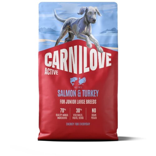 Carnilove Dog Active Junior Large, briketi - losos in puran 4 kg Cene