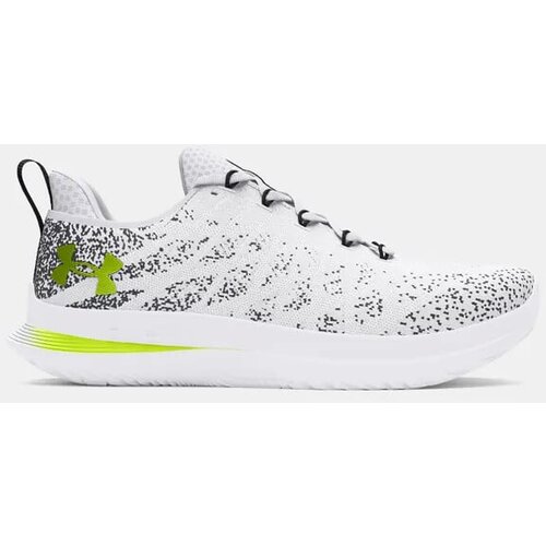 Under Armour Women's running shoes Velociti 3 Cene
